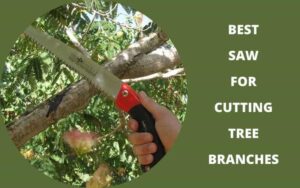 best saw for cutting tree branches