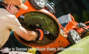 How to Sharpen Lawn Mower Blades Without Removing