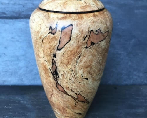 Image source by Brent M. (Amazon User)